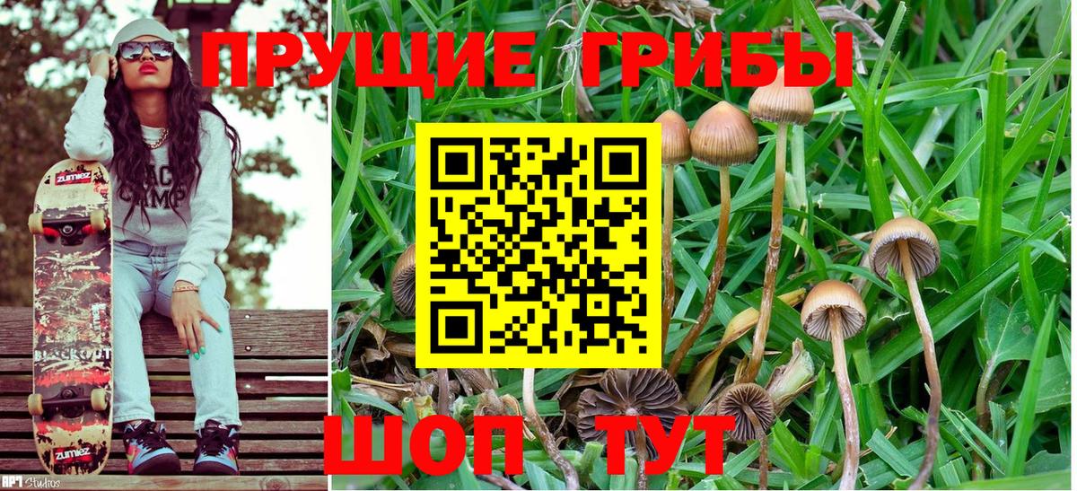 Великий Устюг  Псилоцибиновые грибы Psilocybe  Псилоцибиновые грибы Psilocybine cubensis  Вход с VPN 